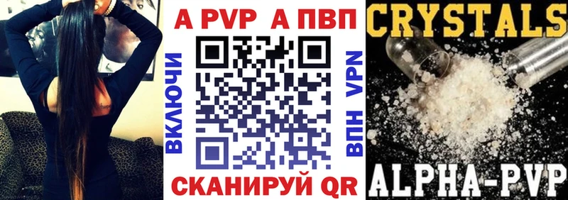 Альфа ПВП СК  Губкинский 