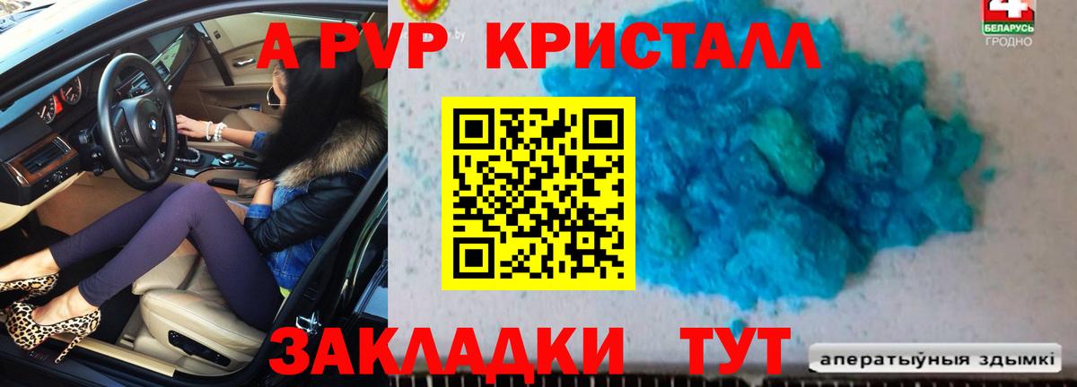A PVP СК Губкинский